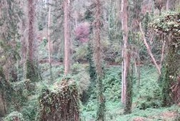 Image1360689763