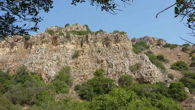 Image1360691711
