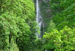 Image1360697999