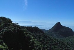Image1361752099