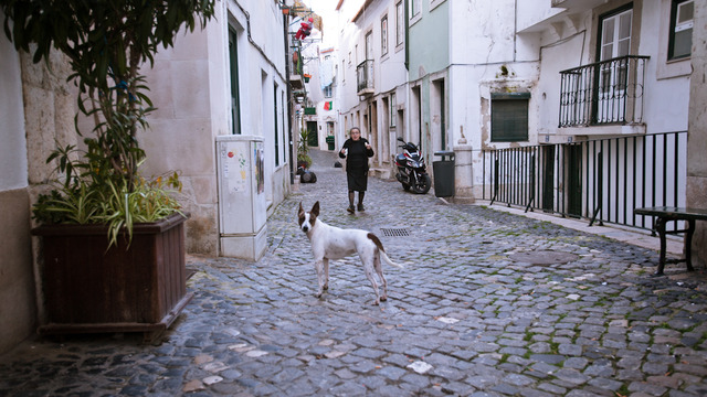 Image1362867631