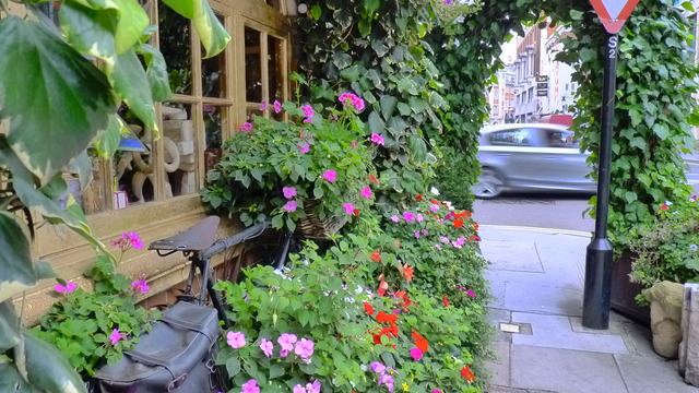 Image1360657654
