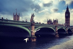 Image1363627276