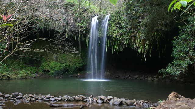 Image1365491982