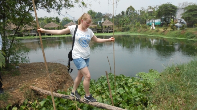 Image1365585915