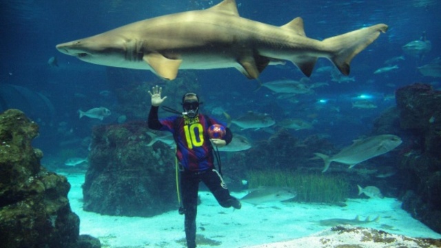 Image1369407440