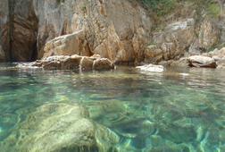 Image1372264151