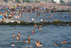 Image1372883164