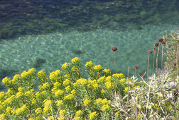 Image1394195737