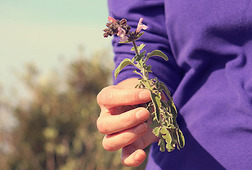 Image1394195996