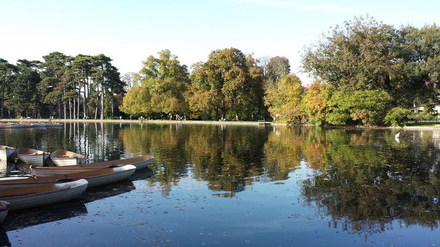 Image1415864190