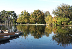 Image1415864190