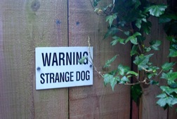 Image1360655363
