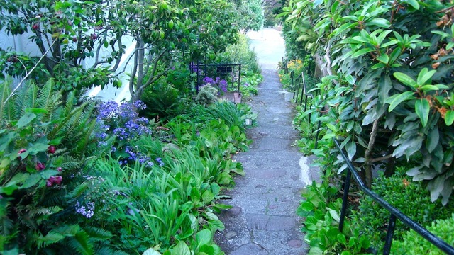 Image1360655370