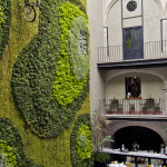 Mexico City