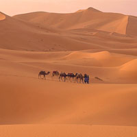 Sahara