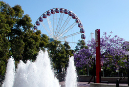 Practice Yoga in Hyde Park